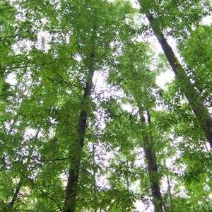 长江水