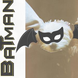 BATMAN (Explicit)