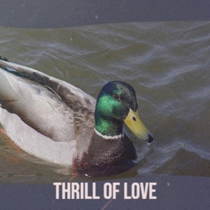 Thrill Of Love