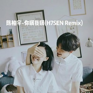 陈柏宇-你瞒我瞒 (H7SEN remix)