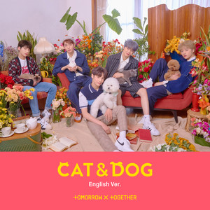 Cat & Dog (English ver.)