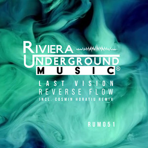 Reverse Flow (Cosmin Horatiu remix)