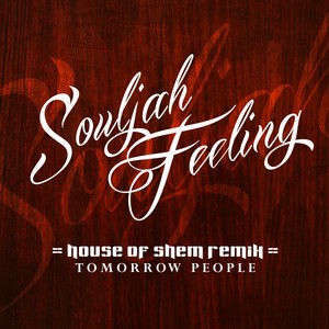 Souljah Feeling (House of Shem Remix)