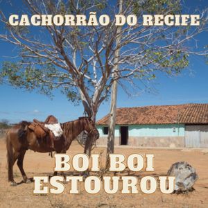 Boi Boi Estourou