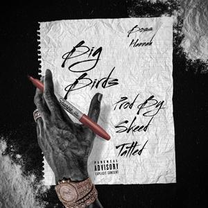 Big Birds (Explicit)