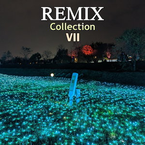 REMIX Collection VII