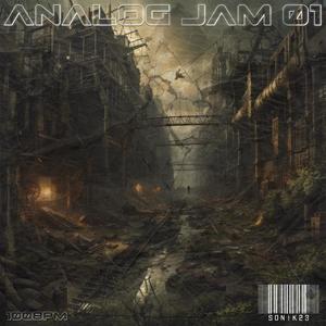 ANALOG JAM 01