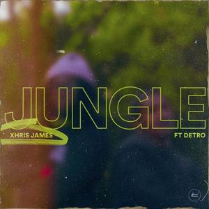 Jungle (feat. Detro)