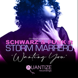 Wanting You (Original Mix)