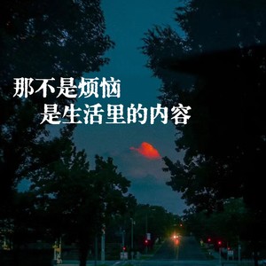 那不是烦恼是生活里的内容 (付航治愈版)