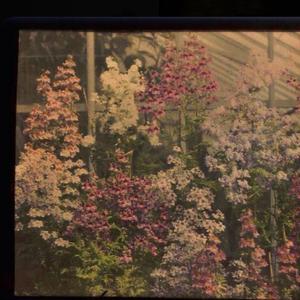 Fall in love (Explicit)