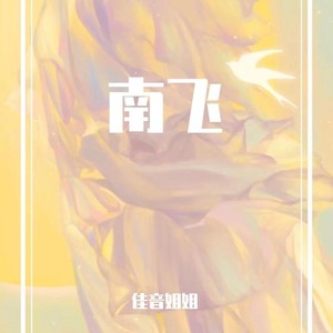 南飞