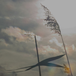 Air