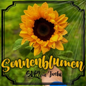 Sonnenblumen