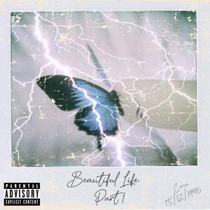 Beautiful Life (Explicit)