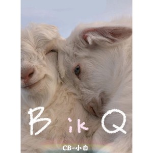 BikQ