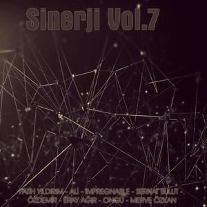 Sinerji, Vol.7