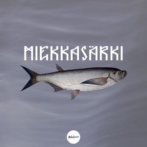 Miekkasärki