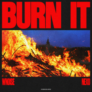 Burn It