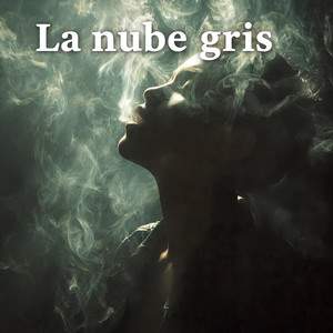 La nube gris