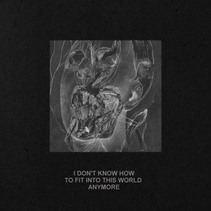 I Don't Know How to Fit into This World Anymore (Explicit)