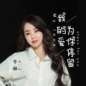我的爱为你停留