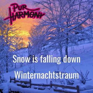 Snow Is Falling Down / Winternachtstraum