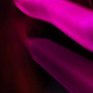 Holly Quill (Explicit)