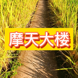 日不落 (燃烧版)