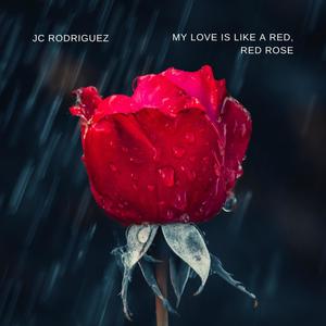 My Love is Like a Red, Red Rose
