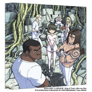 いばらの王 -King of Thorn- <音声特典> オーディオコメンタリー