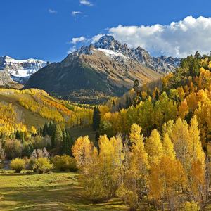 Schwizzle D.A.W.G. - Hahaha