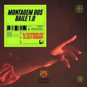 MONTAGEM DOS BAILE 1.0 (Explicit)