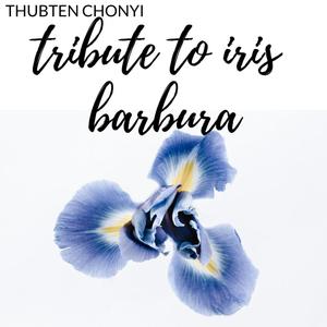 Tribute to Iris Barbura (Original Iris Soundtrack)