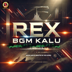 Rex Bgm Kalu