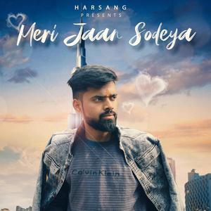 Meri Jaan Sodeya (feat. Harsang)