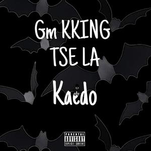 Hole in one (feat. Gm Kking & TSE LA) (Explicit)