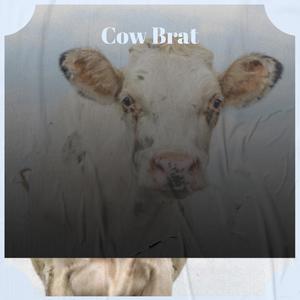 Cow Brat