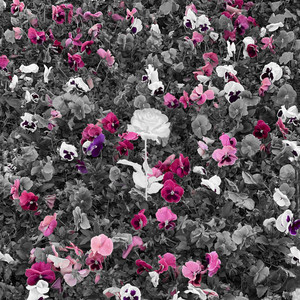 Напополам (slowed) (Slowed)