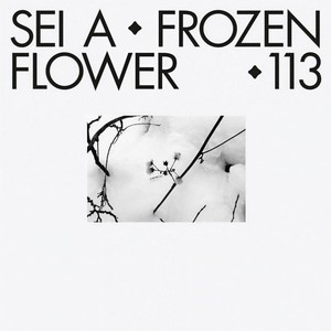 Frozen Flower (Youandewan Remix)