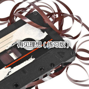 谁明浪子心 (练习版)