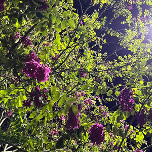 STFU (feat. yoghettos) (Explicit)