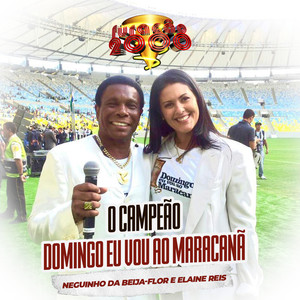 O Campeão (Domingo Eu Vou ao Maracanã)