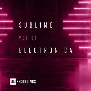 Sublime Electronica, Vol. 08