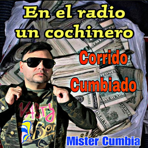 En El Radio Un Cochinero