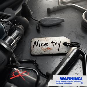 NICE TRY (feat. Remmy DK) (Explicit)