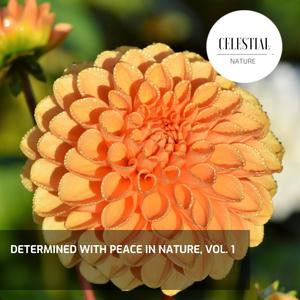 Determined With Peace in Nature, Vol. 1