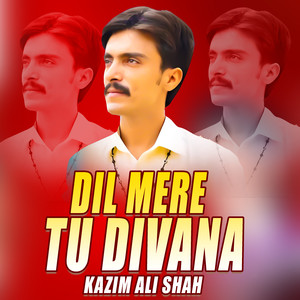 Dil Mere Tu Divana