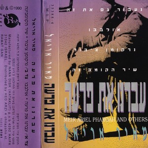 נרקומן ציבור