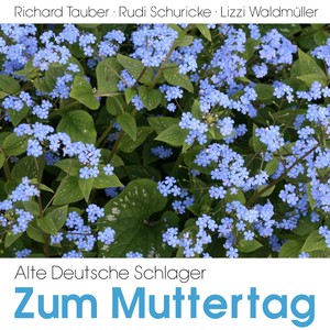 Wenn ich gro bin, liebe Mutter
